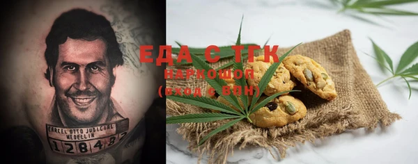 МДПВ Ельня