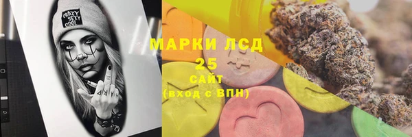 ГАЛЛЮЦИНОГЕННЫЕ ГРИБЫ Заводоуковск