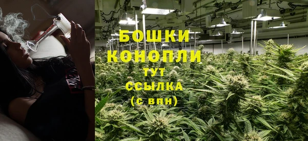 МДПВ Елабуга
