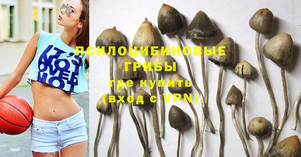 метамфетамин Елизово