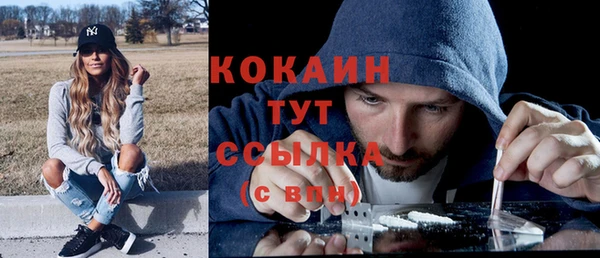 ГАЛЛЮЦИНОГЕННЫЕ ГРИБЫ Заводоуковск