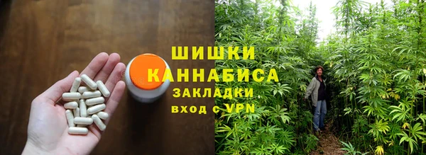 ГАЛЛЮЦИНОГЕННЫЕ ГРИБЫ Заводоуковск