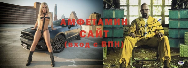ГАЛЛЮЦИНОГЕННЫЕ ГРИБЫ Заводоуковск