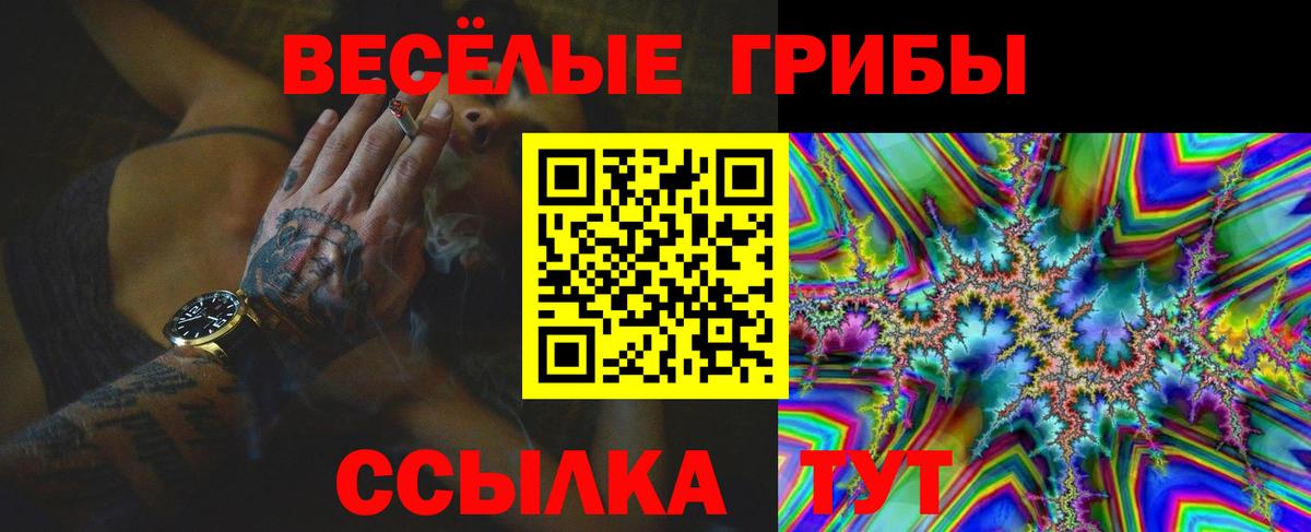 Псилоцибиновые грибы мухоморы  Вход с VPN  купить наркоту  Зеленодольск 